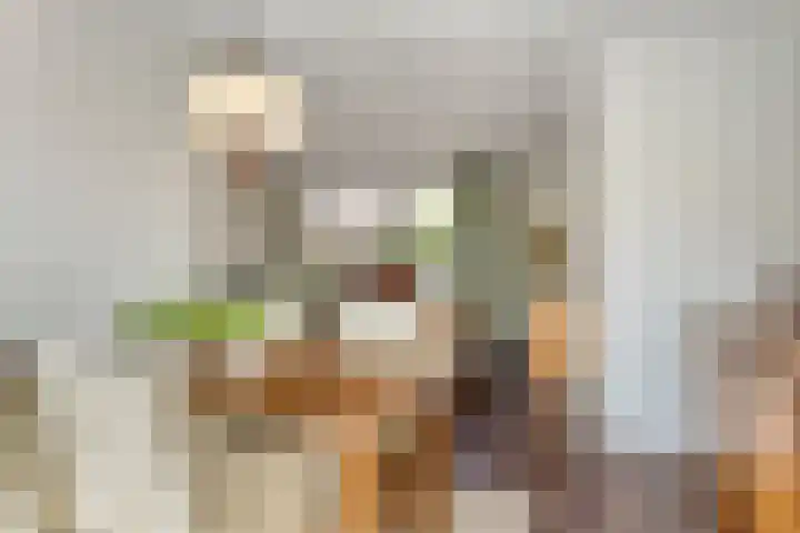 Wit Hollandven 11 Goirle thumbnail 6
