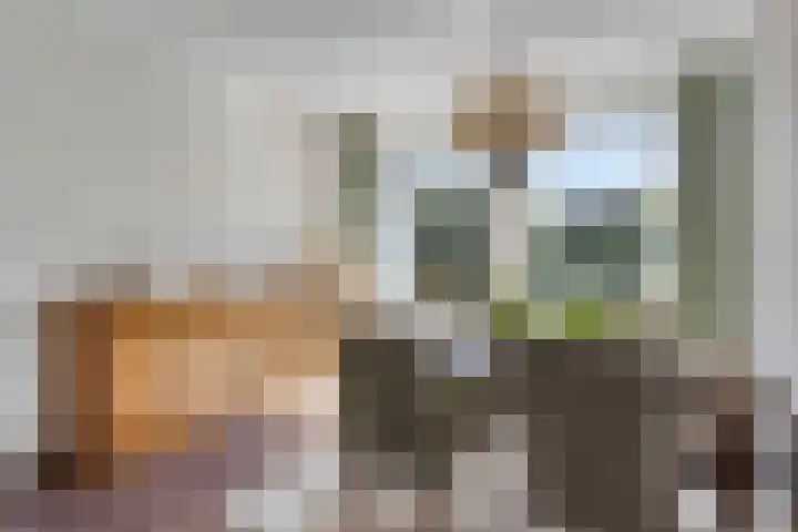Wit Hollandven 11 Goirle thumbnail 7