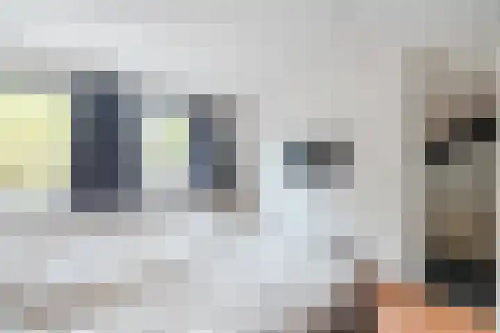Wit Hollandven 20 Goirle thumbnail 18