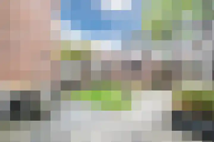 Wit Hollandven 20 Goirle thumbnail 30