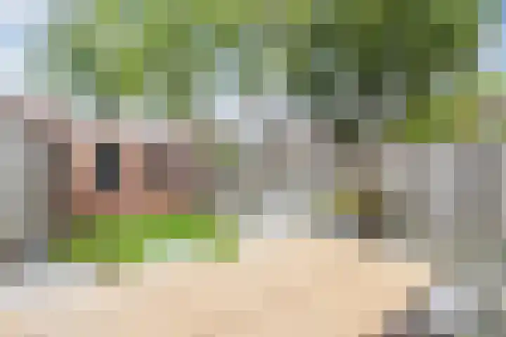 Wit Hollandven 20 Goirle thumbnail 31