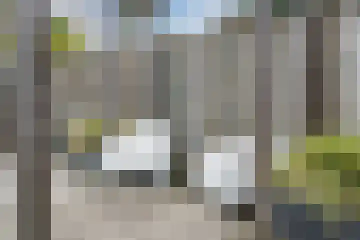 Wit Hollandven 20 Goirle thumbnail 32