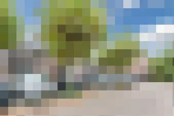 Wit Hollandven 20 Goirle thumbnail 36
