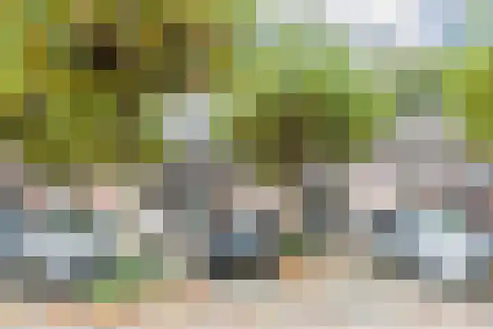 Wit Hollandven 20 Goirle thumbnail 37