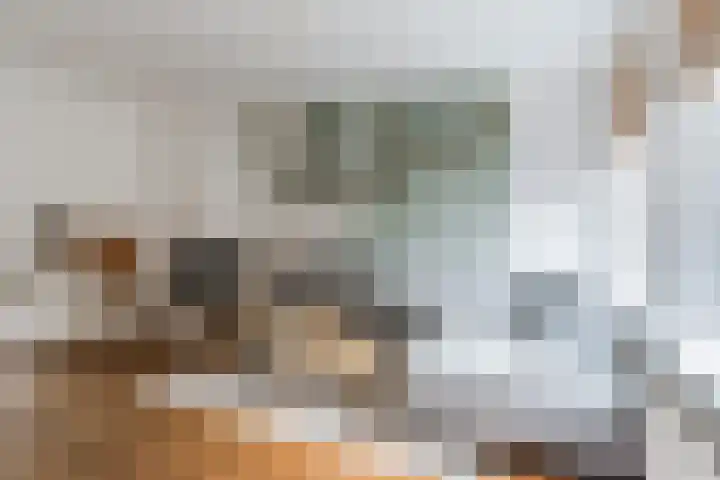 Wit Hollandven 20 Goirle thumbnail 5
