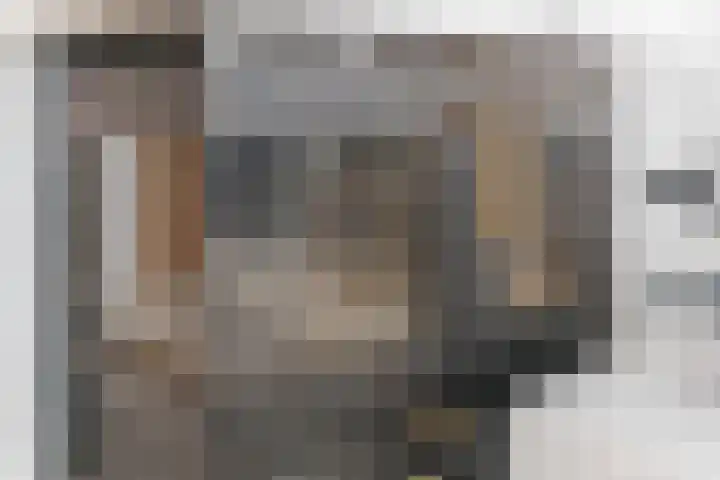 Wit Hollandven 20 Goirle thumbnail 6