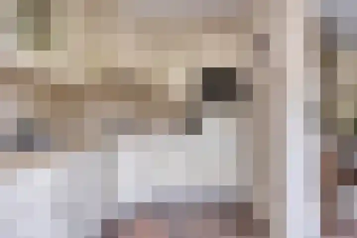 Wit Hollandven 25 Goirle thumbnail 12