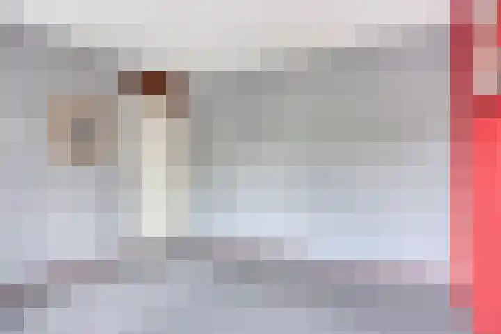 Wit Hollandven 25 Goirle thumbnail 21