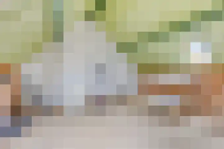 Wit Hollandven 25 Goirle thumbnail 30