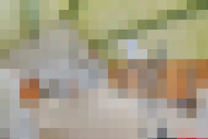 Wit Hollandven 25 Goirle thumbnail 31