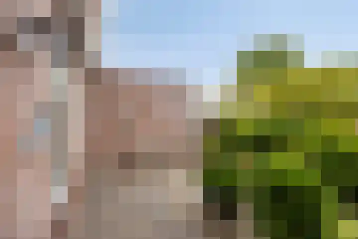 Wit Hollandven 25 Goirle thumbnail 33