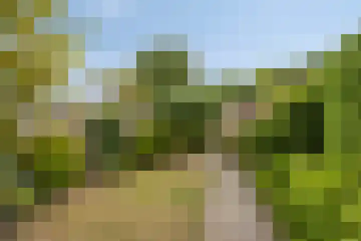 Wit Hollandven 25 Goirle thumbnail 35