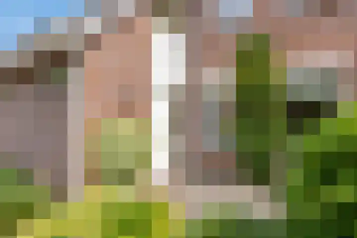 Wit Hollandven 25 Goirle thumbnail 38