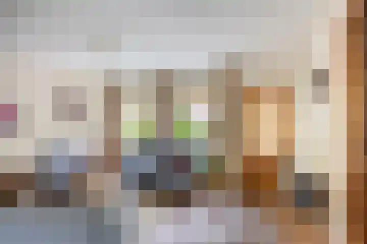 Wit Hollandven 25 Goirle thumbnail 4