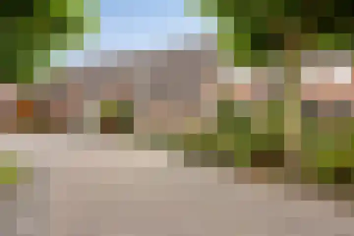 Wit Hollandven 25 Goirle thumbnail 40