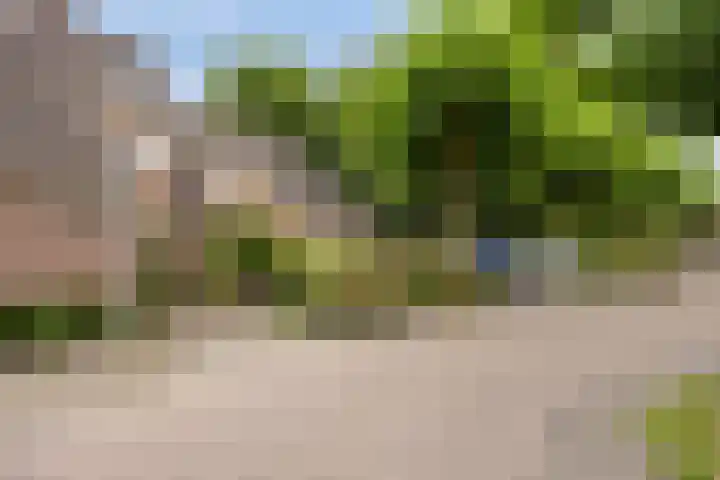 Wit Hollandven 25 Goirle thumbnail 42