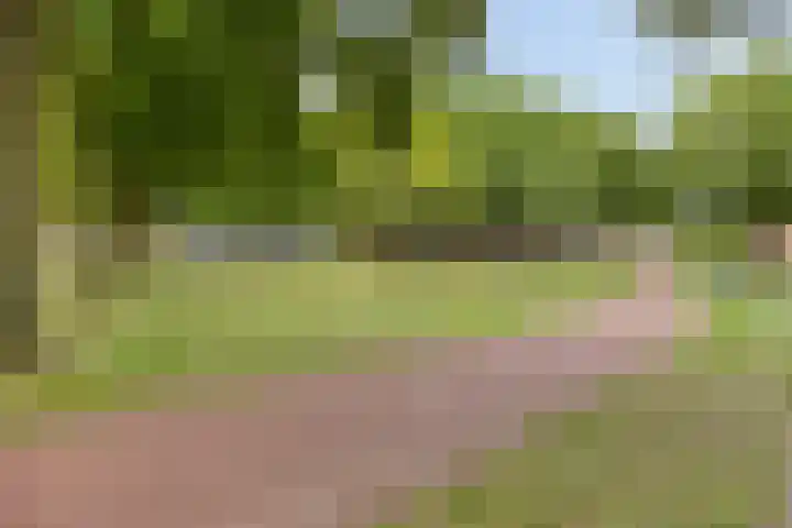 Wit Hollandven 25 Goirle thumbnail 43