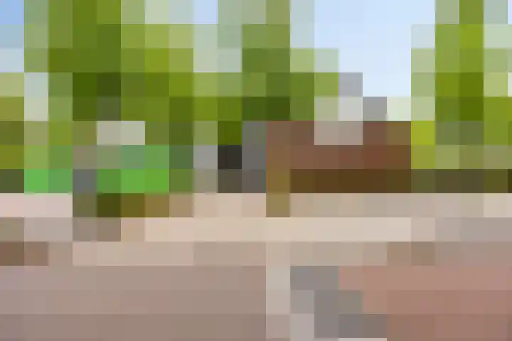 Wit Hollandven 25 Goirle thumbnail 45