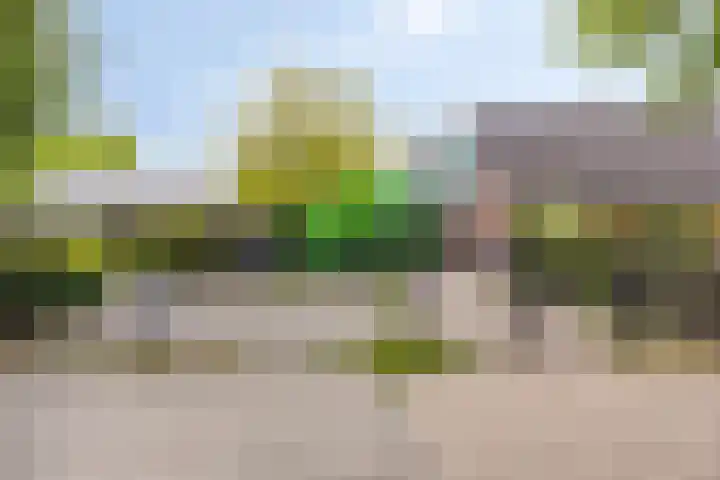 Wit Hollandven 25 Goirle thumbnail 46