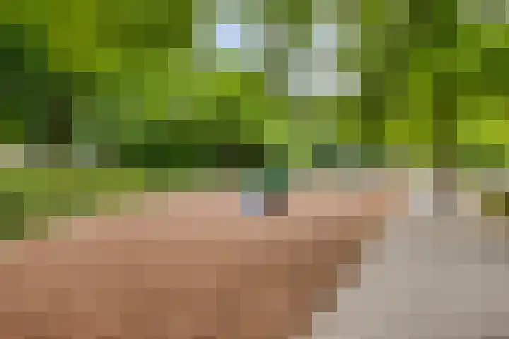 Wit Hollandven 25 Goirle thumbnail 47