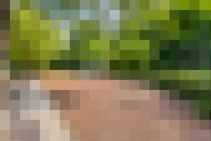 Wit Hollandven 25 Goirle thumbnail 48