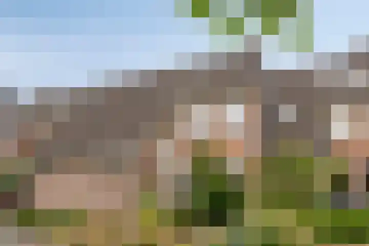 Wit Hollandven 25 Goirle thumbnail 54