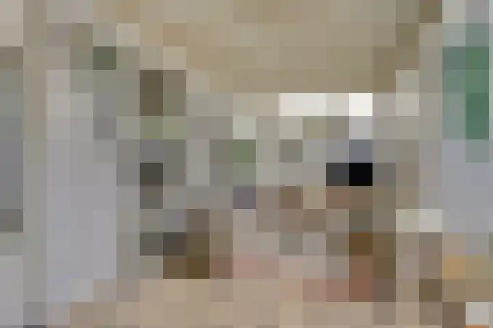 Wit Hollandven 27 Goirle thumbnail 20