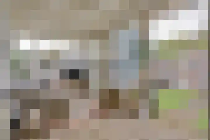 Wit Hollandven 27 Goirle thumbnail 21