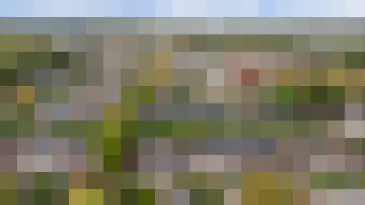 Wit Hollandven 27 Goirle thumbnail 24