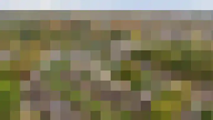 Wit Hollandven 27 Goirle thumbnail 25