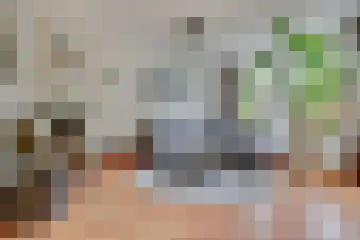 Wit Hollandven 27 Goirle thumbnail 4