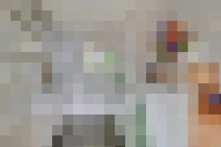 Wit Hollandven 27 Goirle thumbnail 8