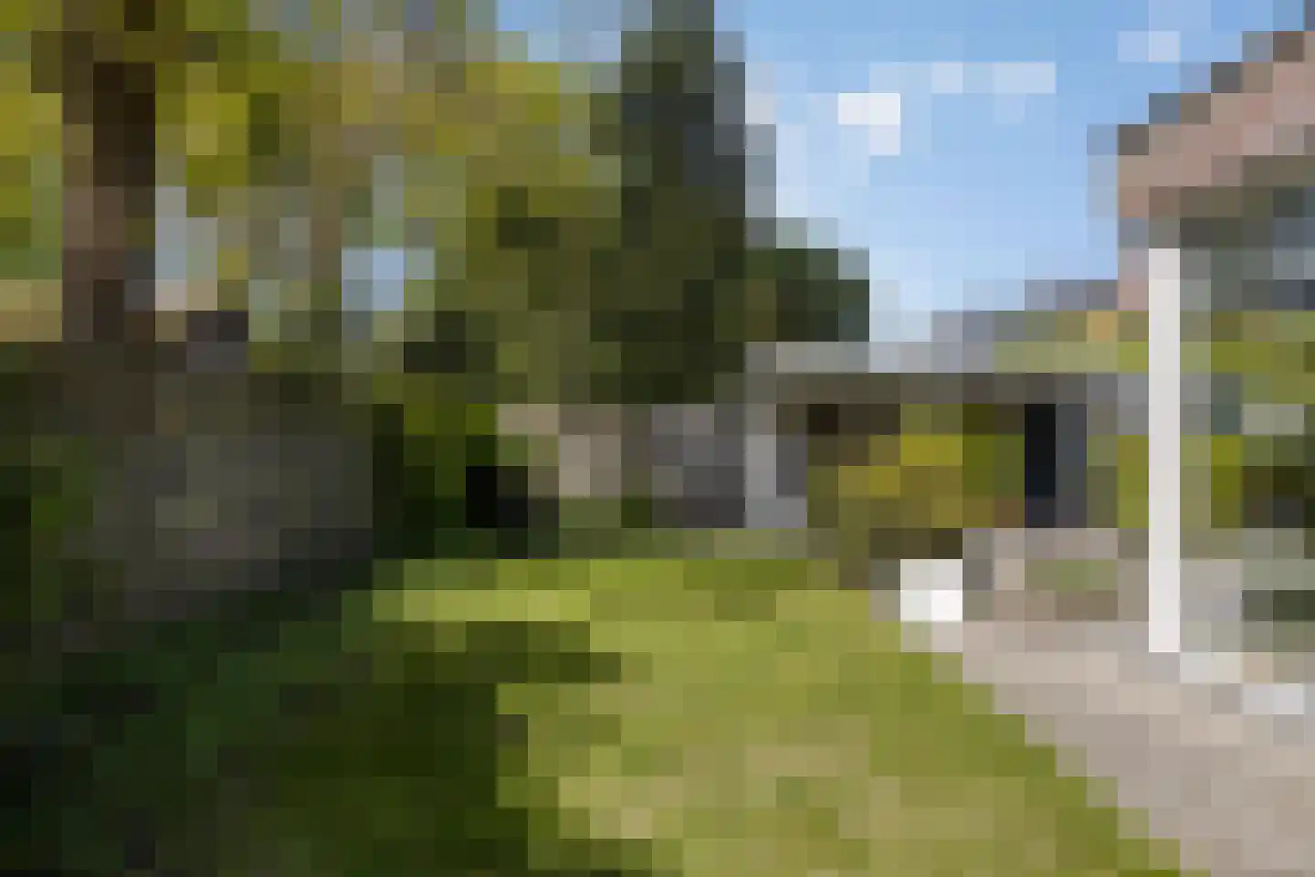 Wit Hollandven 62 Goirle thumbnail 37