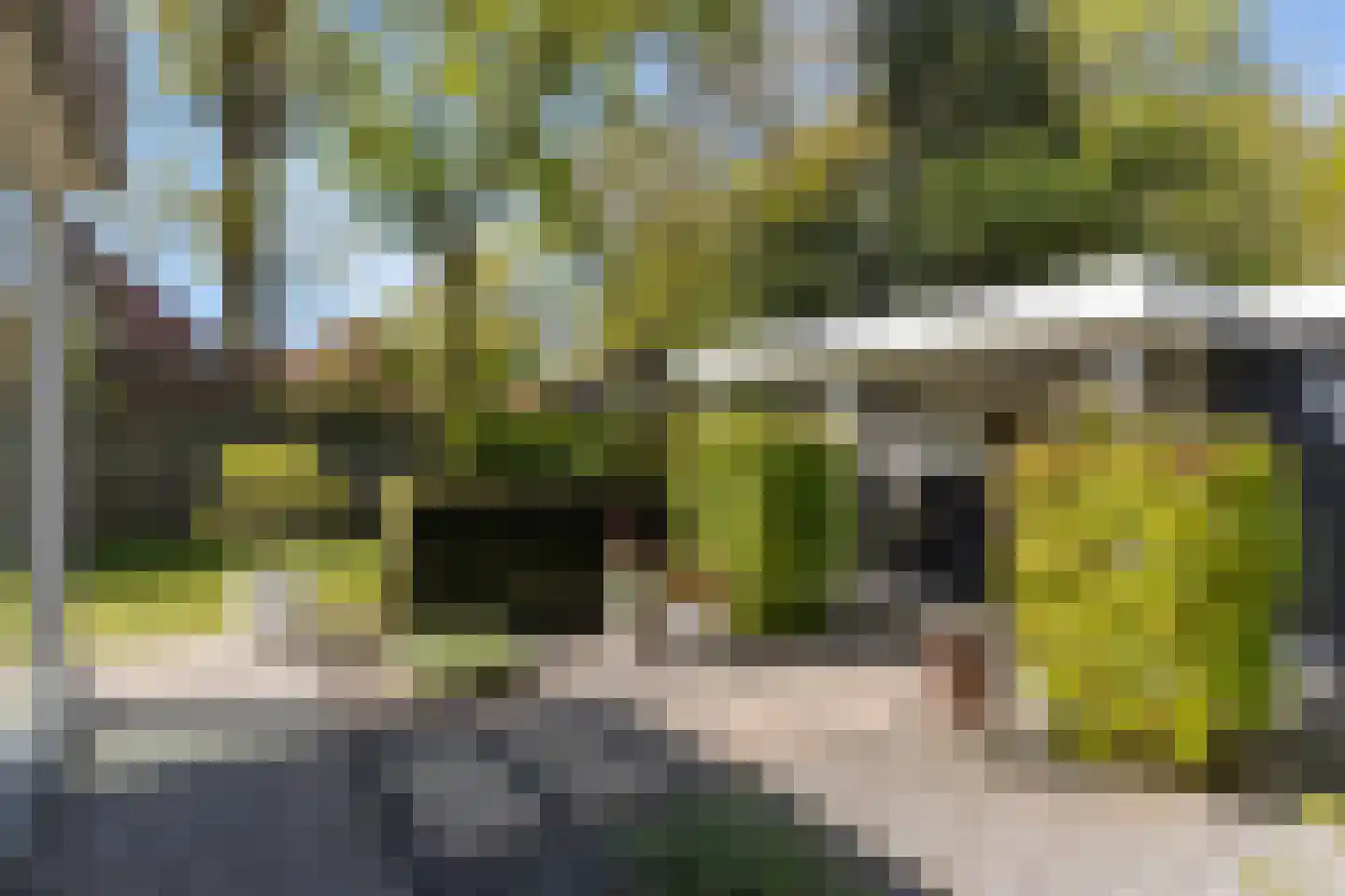 Wit Hollandven 62 Goirle thumbnail 4