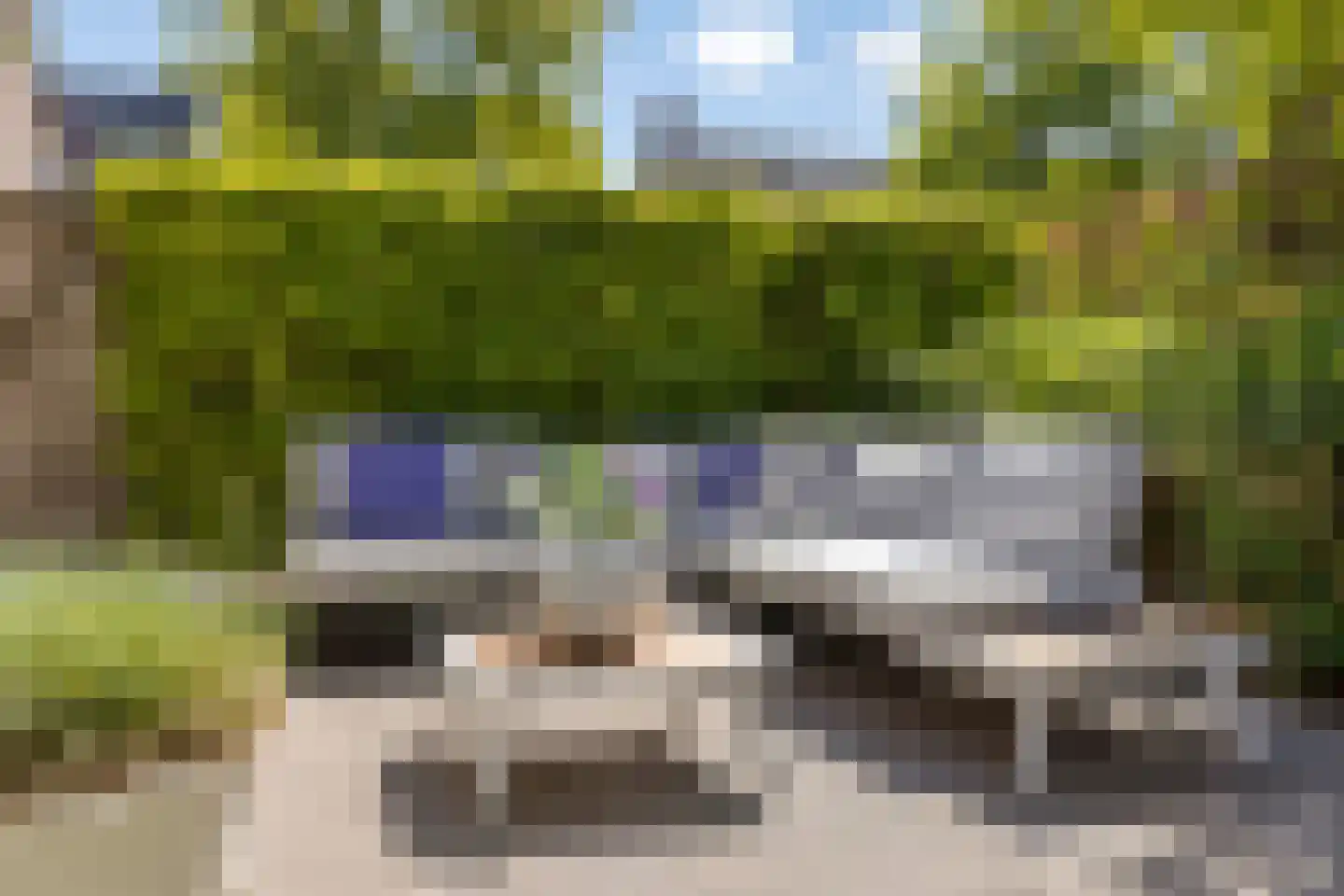 Wit Hollandven 62 Goirle thumbnail 40