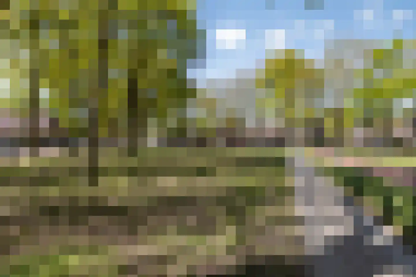 Wit Hollandven 62 Goirle thumbnail 43