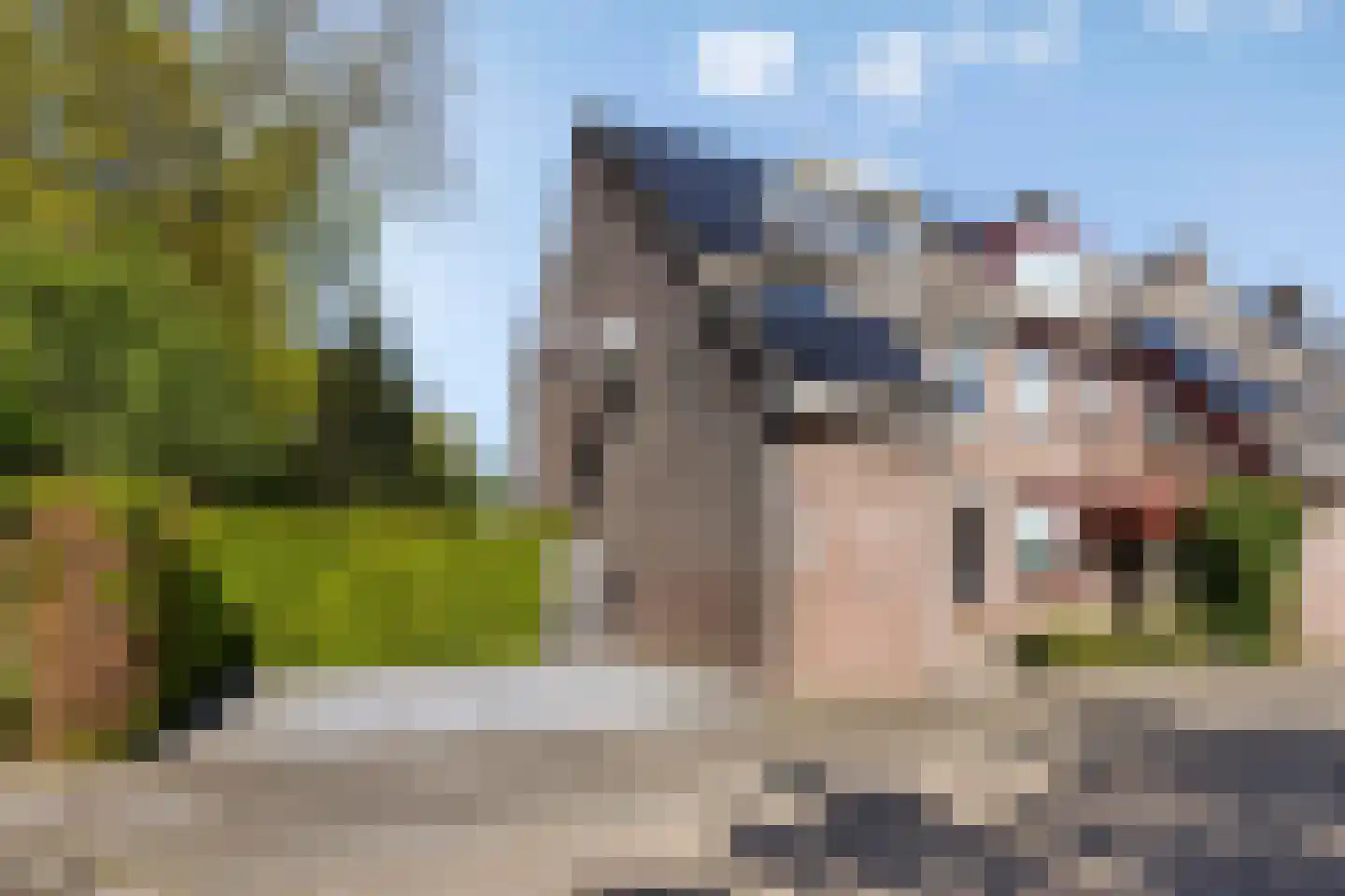 Wit Hollandven 62 Goirle thumbnail 6