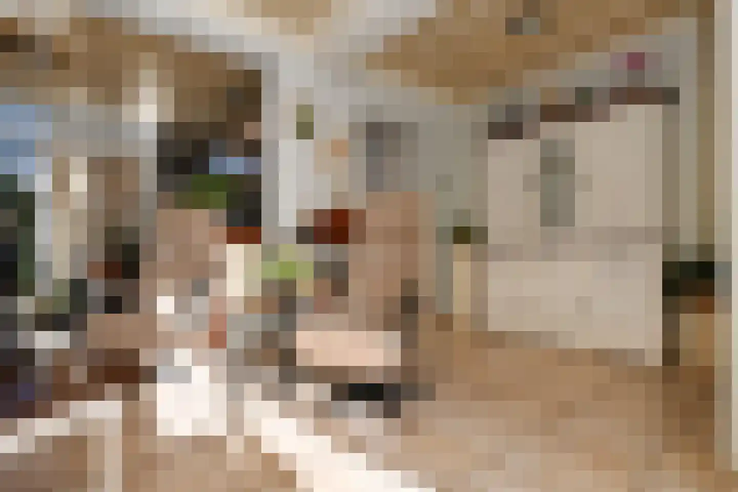 Wit Kruis 1 Steenbergen thumbnail 10