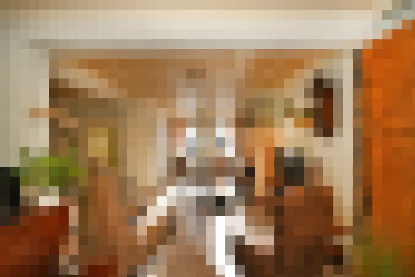 Wit Kruis 1 Steenbergen thumbnail 13