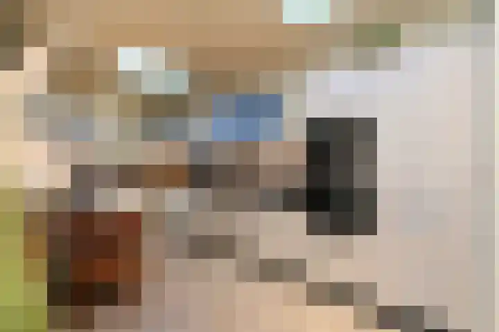 Wit Kruis 1 Steenbergen thumbnail 16