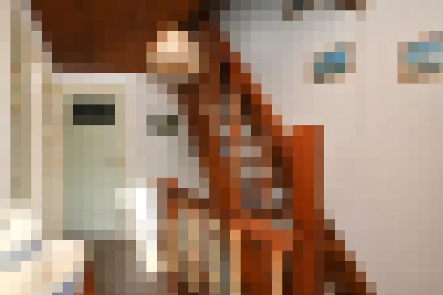 Wit Kruis 1 Steenbergen thumbnail 17