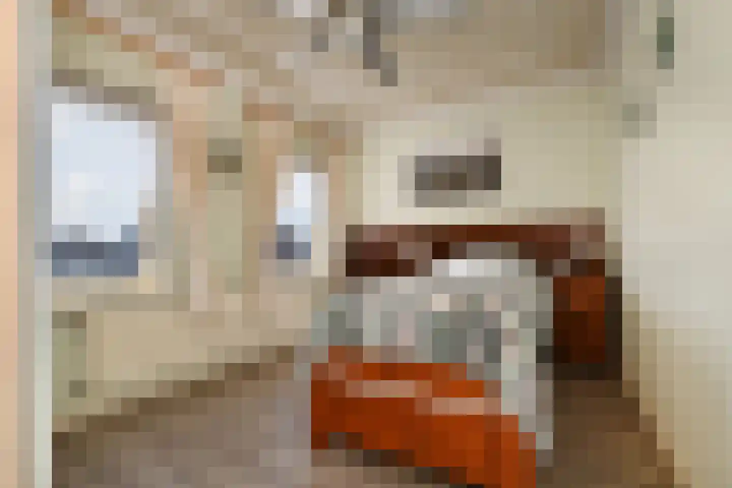Wit Kruis 1 Steenbergen thumbnail 18