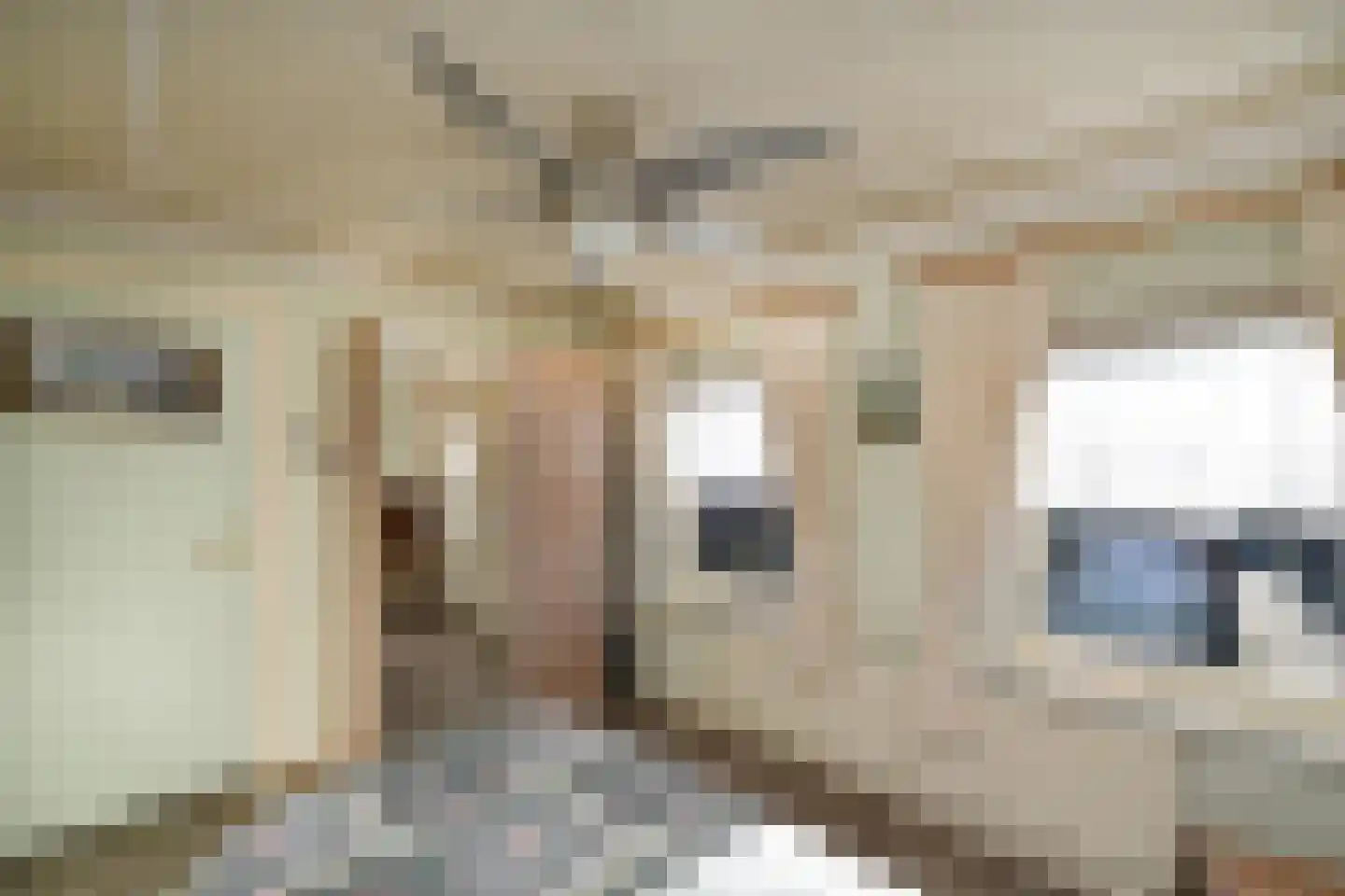 Wit Kruis 1 Steenbergen thumbnail 19