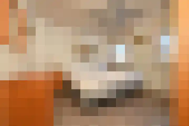 Wit Kruis 1 Steenbergen thumbnail 20