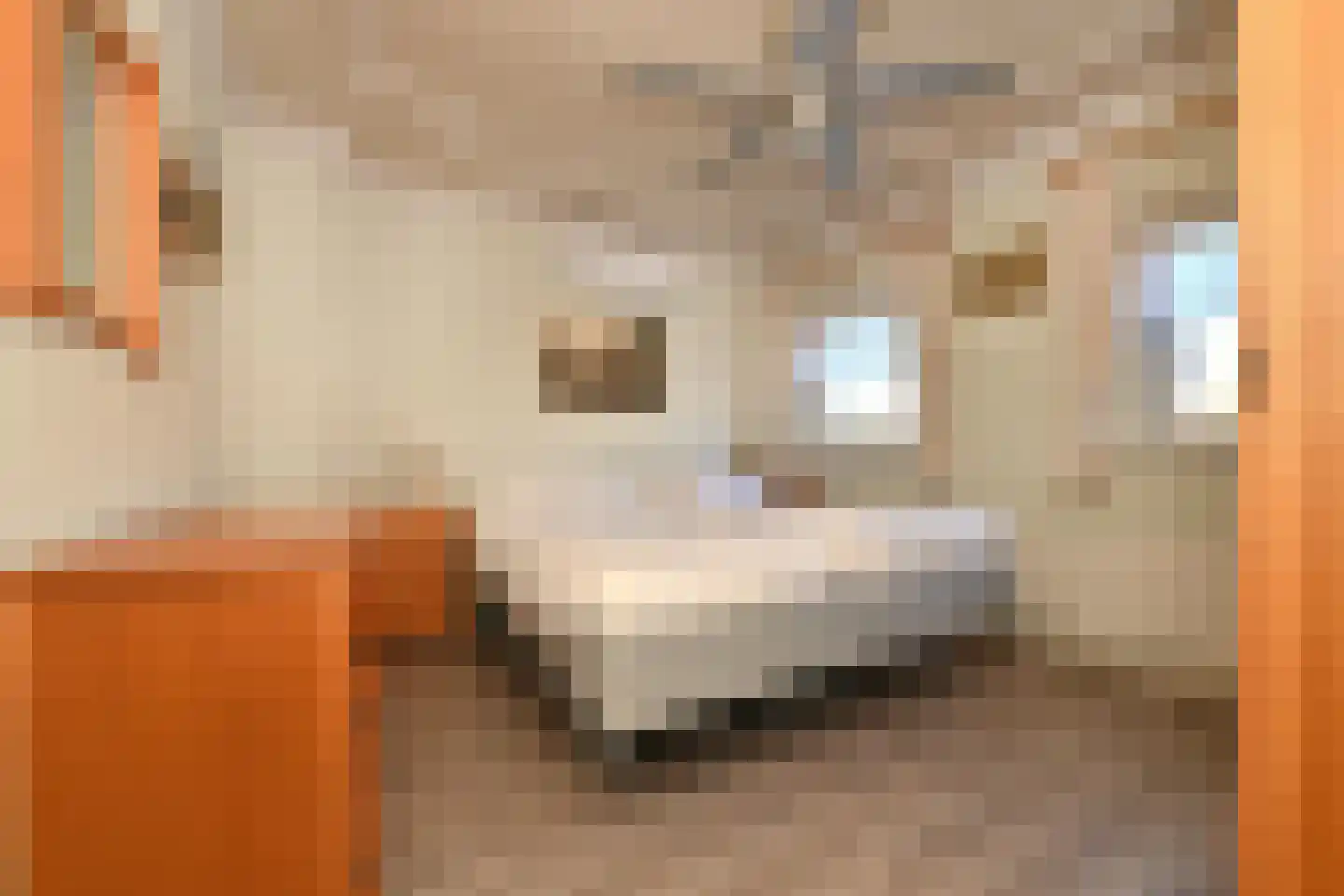 Wit Kruis 1 Steenbergen thumbnail 20