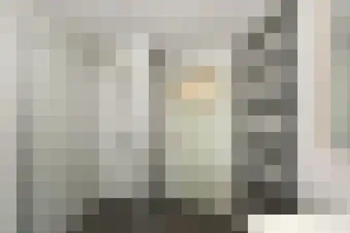 Wit Kruis 1 Steenbergen thumbnail 23