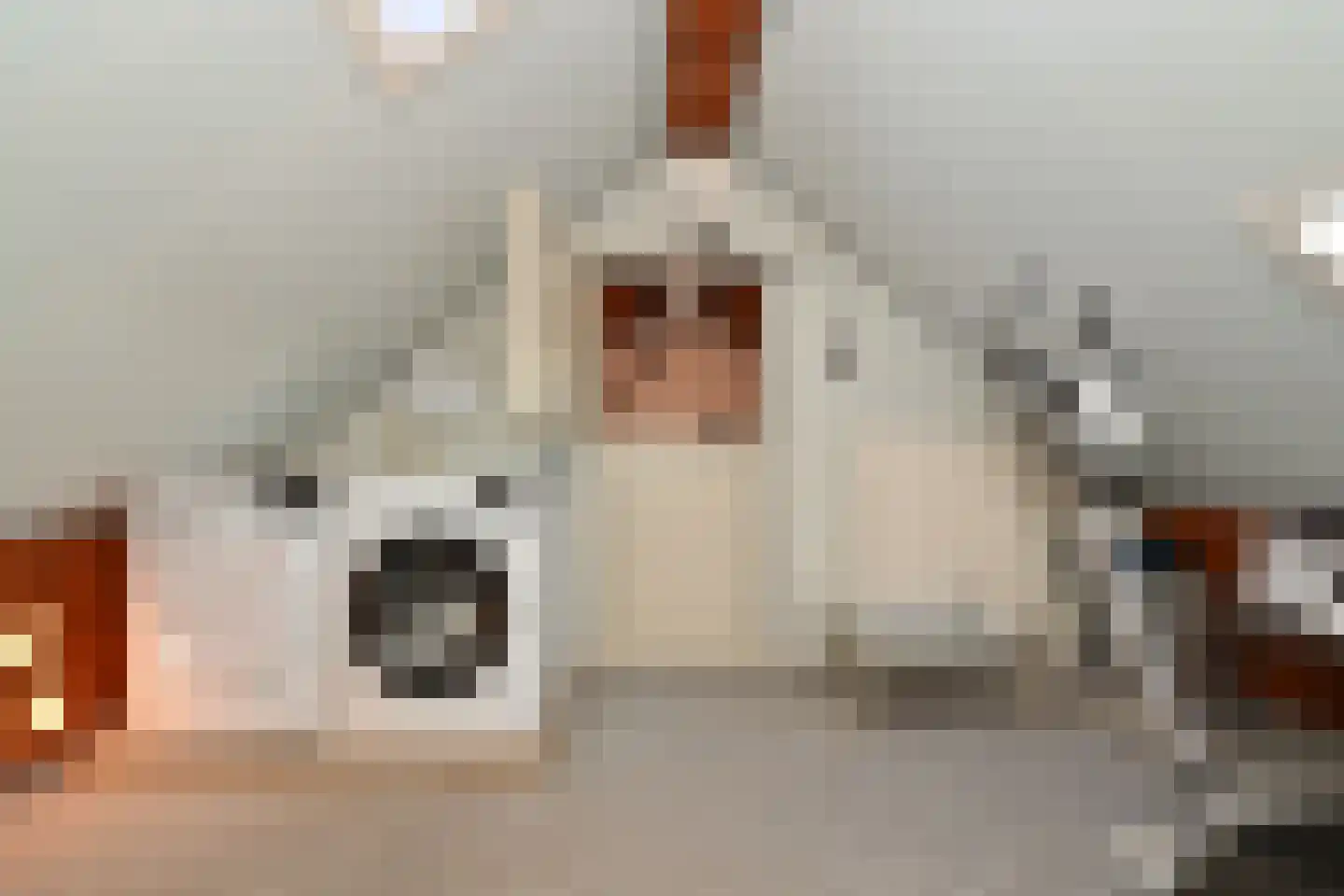 Wit Kruis 1 Steenbergen thumbnail 26
