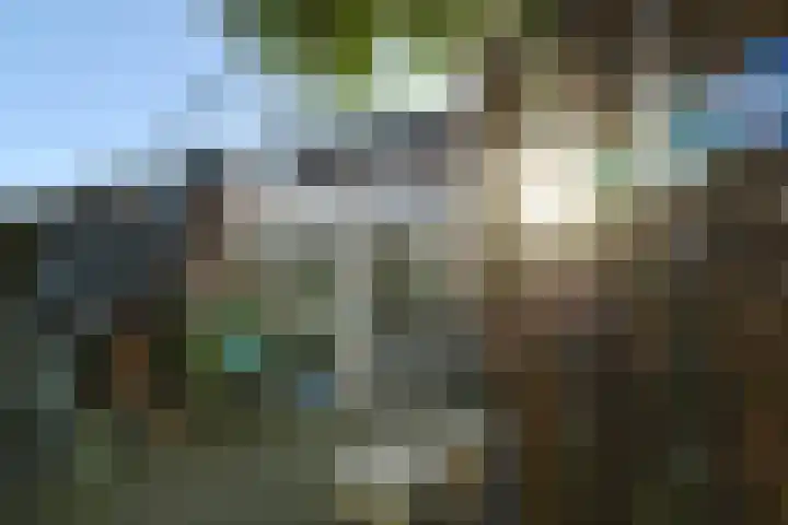 Wit Kruis 1 Steenbergen thumbnail 29