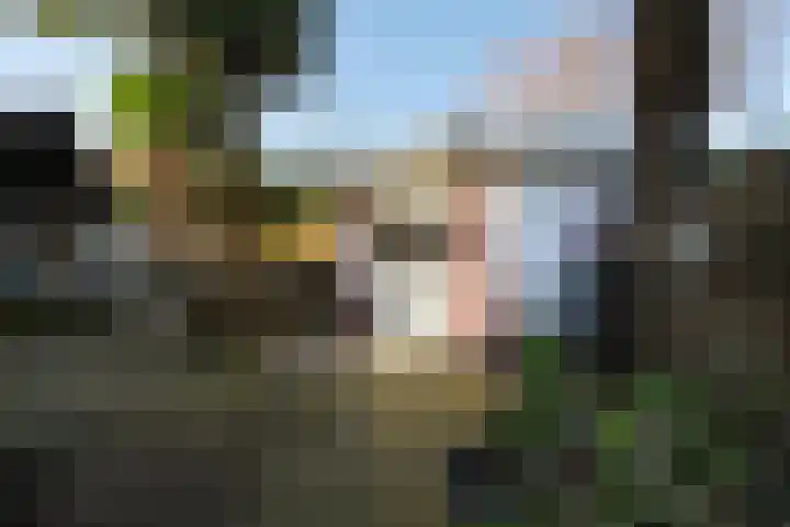 Wit Kruis 1 Steenbergen thumbnail 30