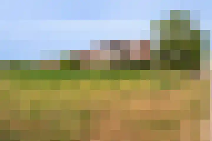 Wit Kruis 1 Steenbergen thumbnail 32